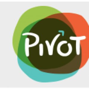 pivot-1024x1024