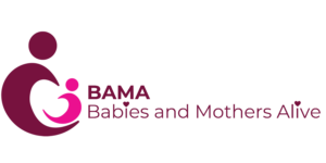 BAMA logo horizontal low res